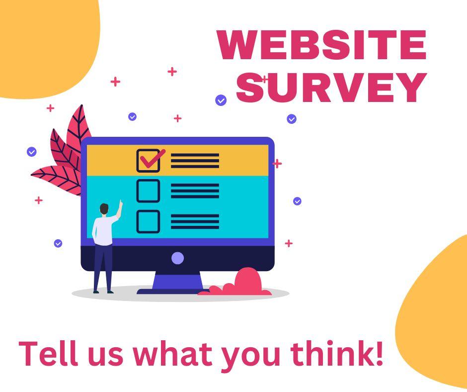 Online Survey 1